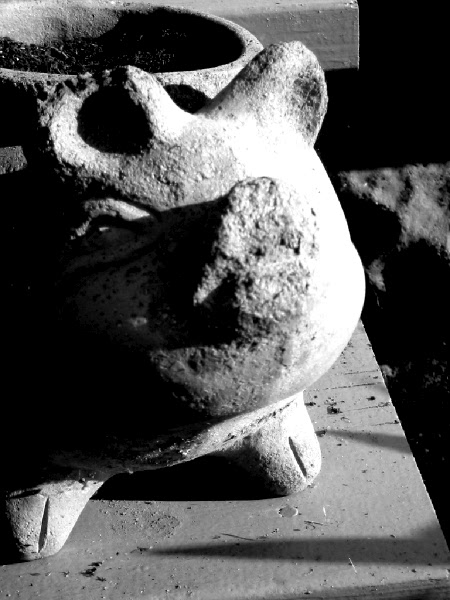 Stone Pig Stone Pig