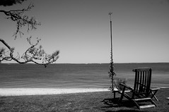 DSC_0035_edited-1