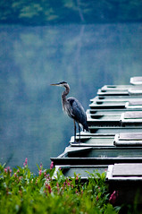DSC_0102_edited-1