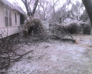 Ice Storm Fun