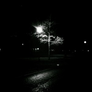 Night Ride 1 Night Ride 1