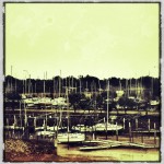 Ships Without a Sea Ships Without a Sea