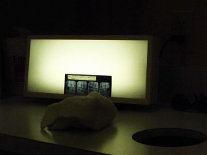 Day 25: At The Dentist