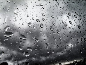 Day 51: Rain