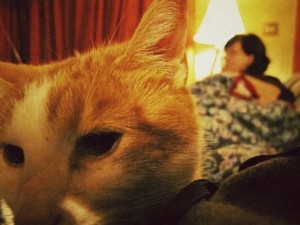 Day 76: Domestic Bliss