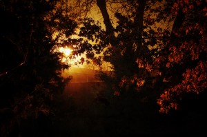 Day 94: Foggy Night