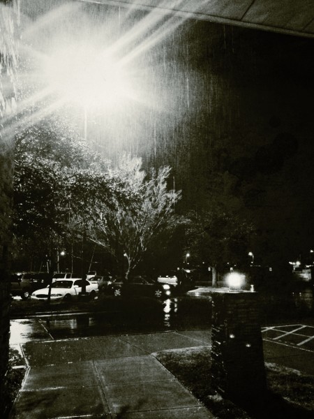 Day 129: Rain