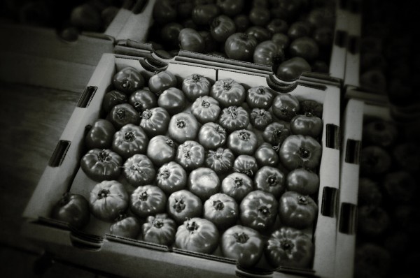 Day 155: Tomatoes