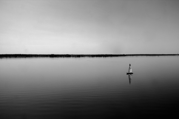 Day 165: Stubborn Sailor