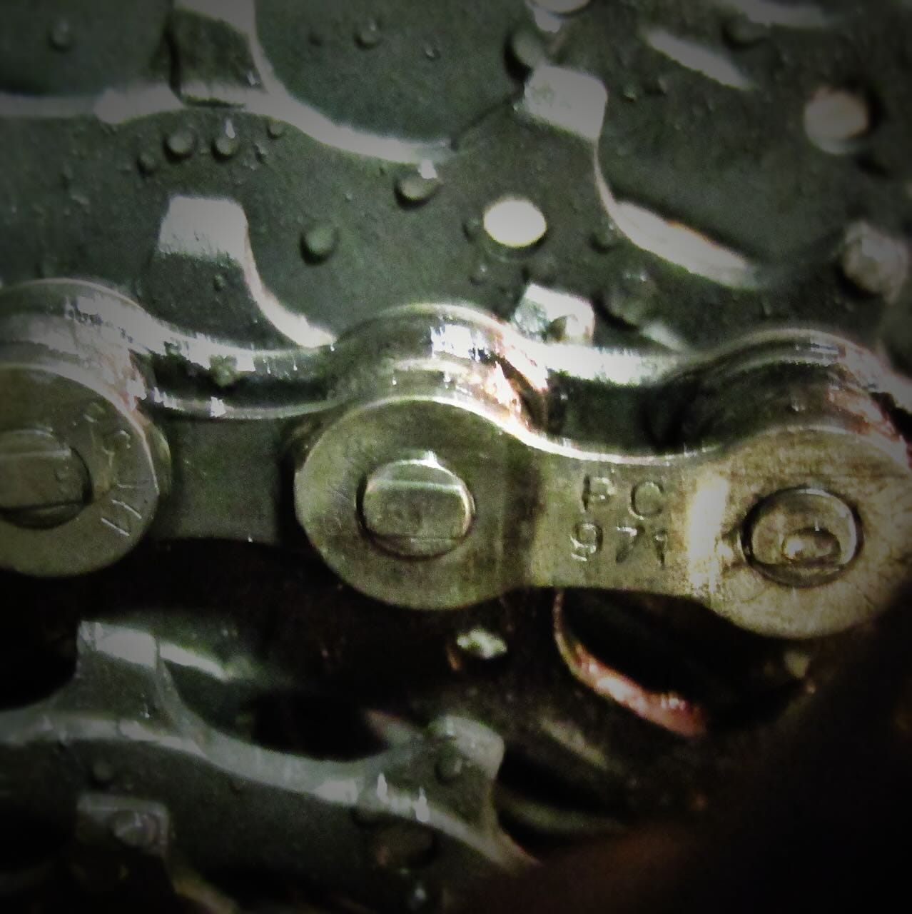 Color photo of a freshly cleaned bike chain and gears.