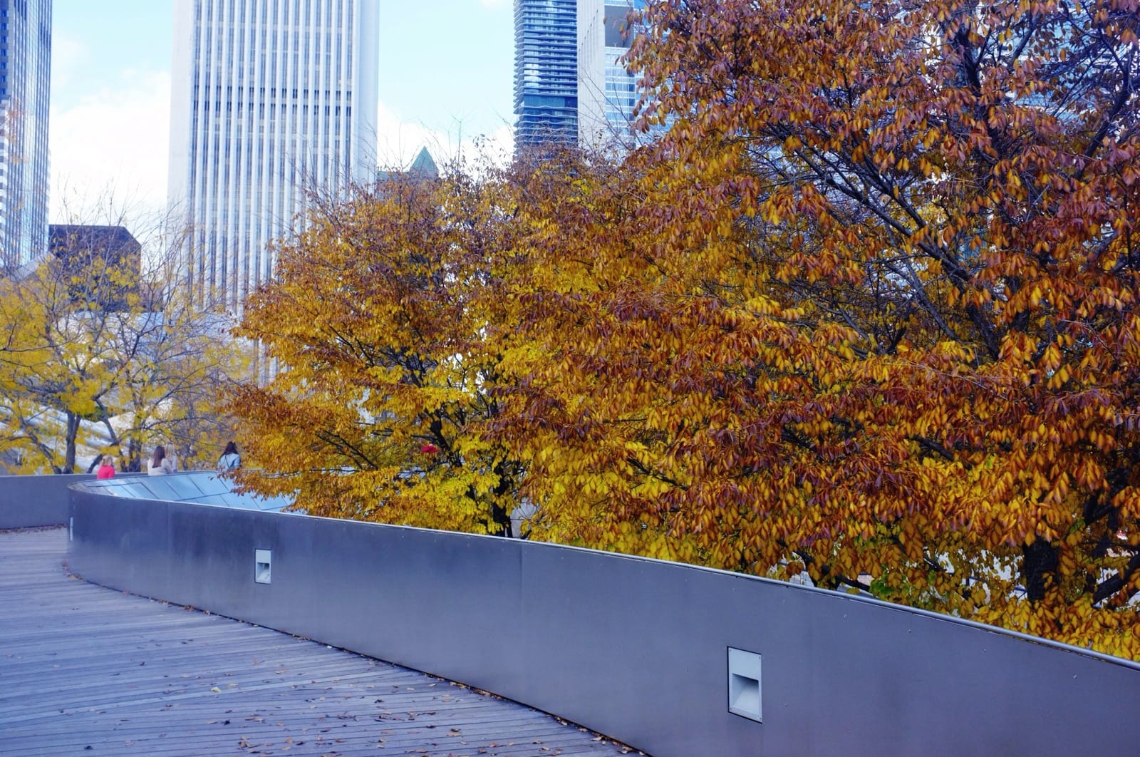 Fall colors 8128226122 o