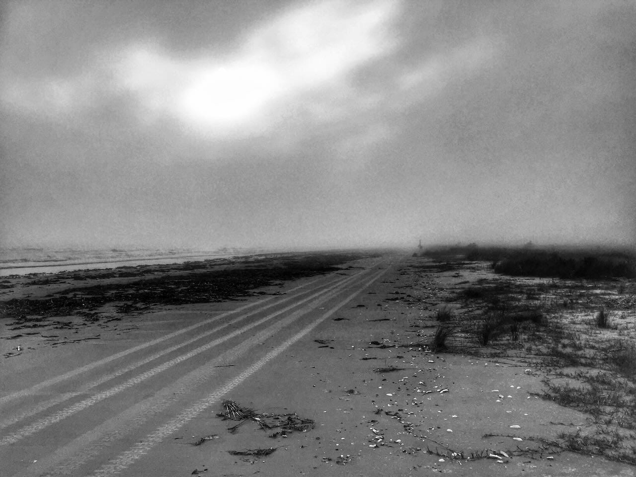 On The Road Again, Dallas and Beaumont