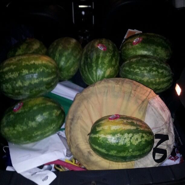 Color photo of watermellons in the back of a Mini Cooper.