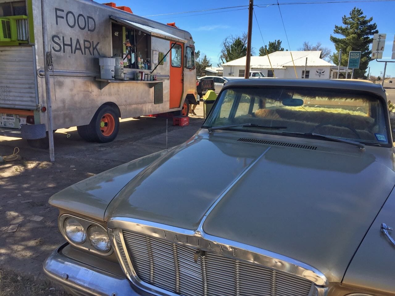 Food Shark