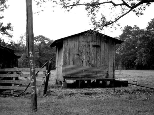 Shack 63487527 o