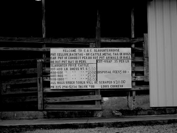 Slaughter house 63487521 o