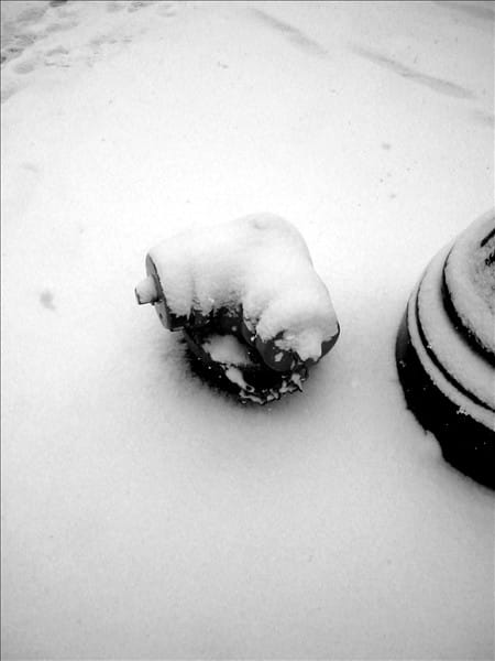 Hydrant 63639160 o