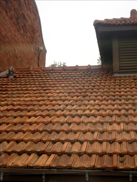 Tiles 2 63638454 o
