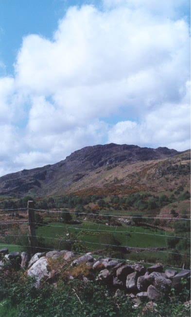Hills 63634829 o