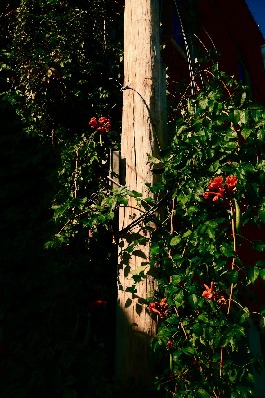 Dscf0535