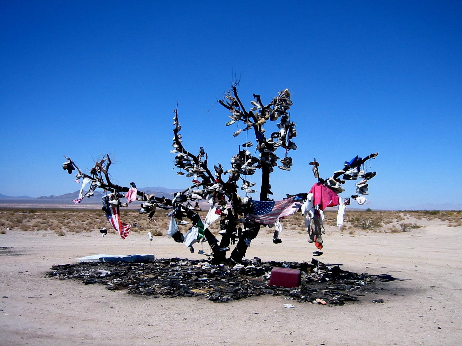 041 shoetree 76169431 o