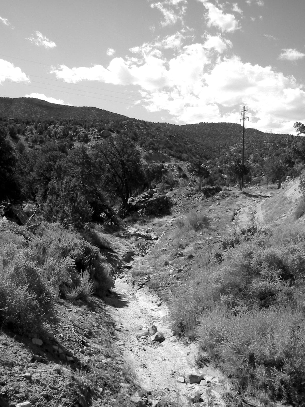 047 drygulch 76170224 o