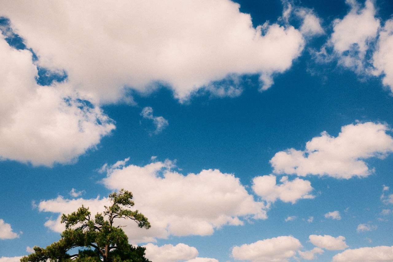 Western Skies