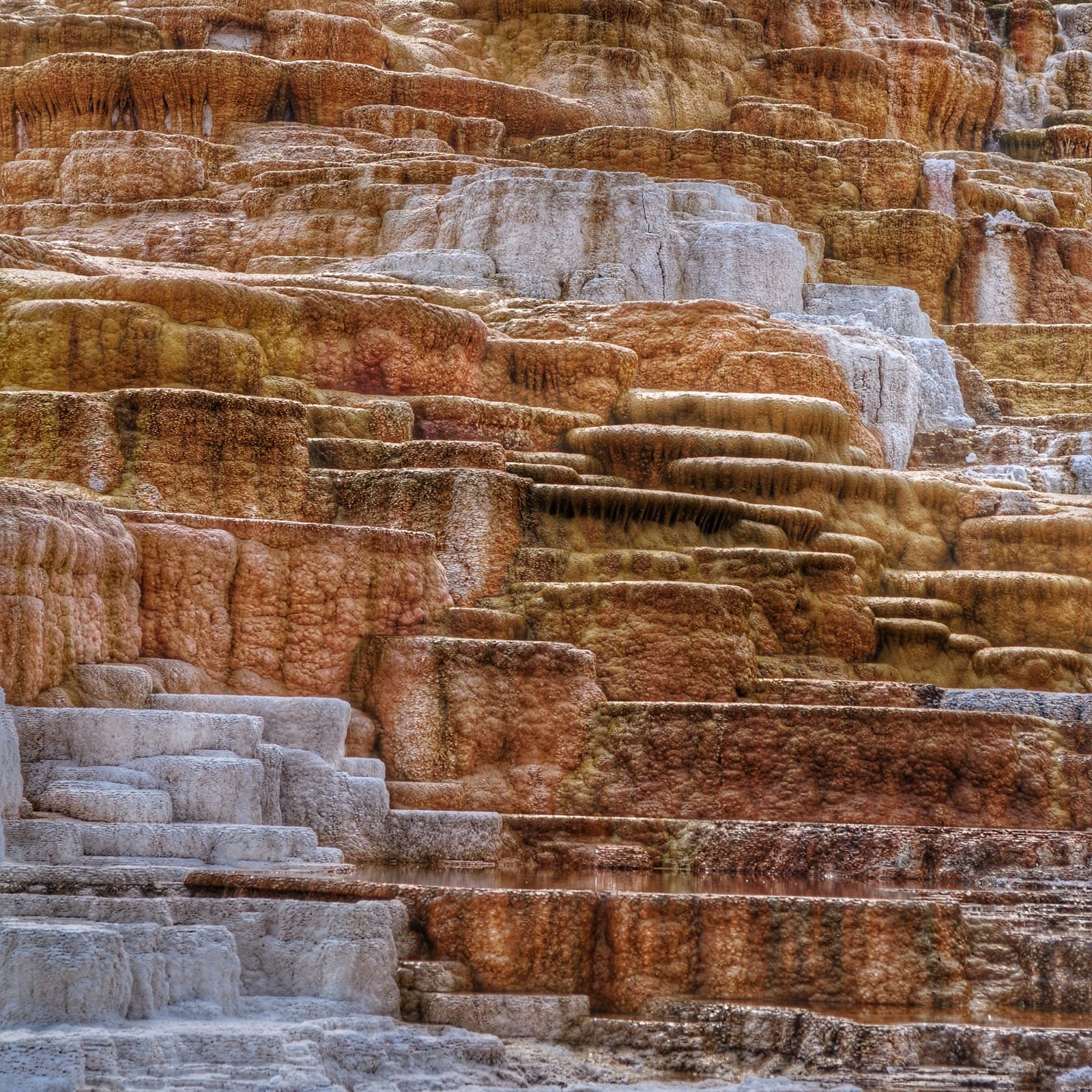 Mammoth hot springs yellowstone aluminumdreams 29260987123 o