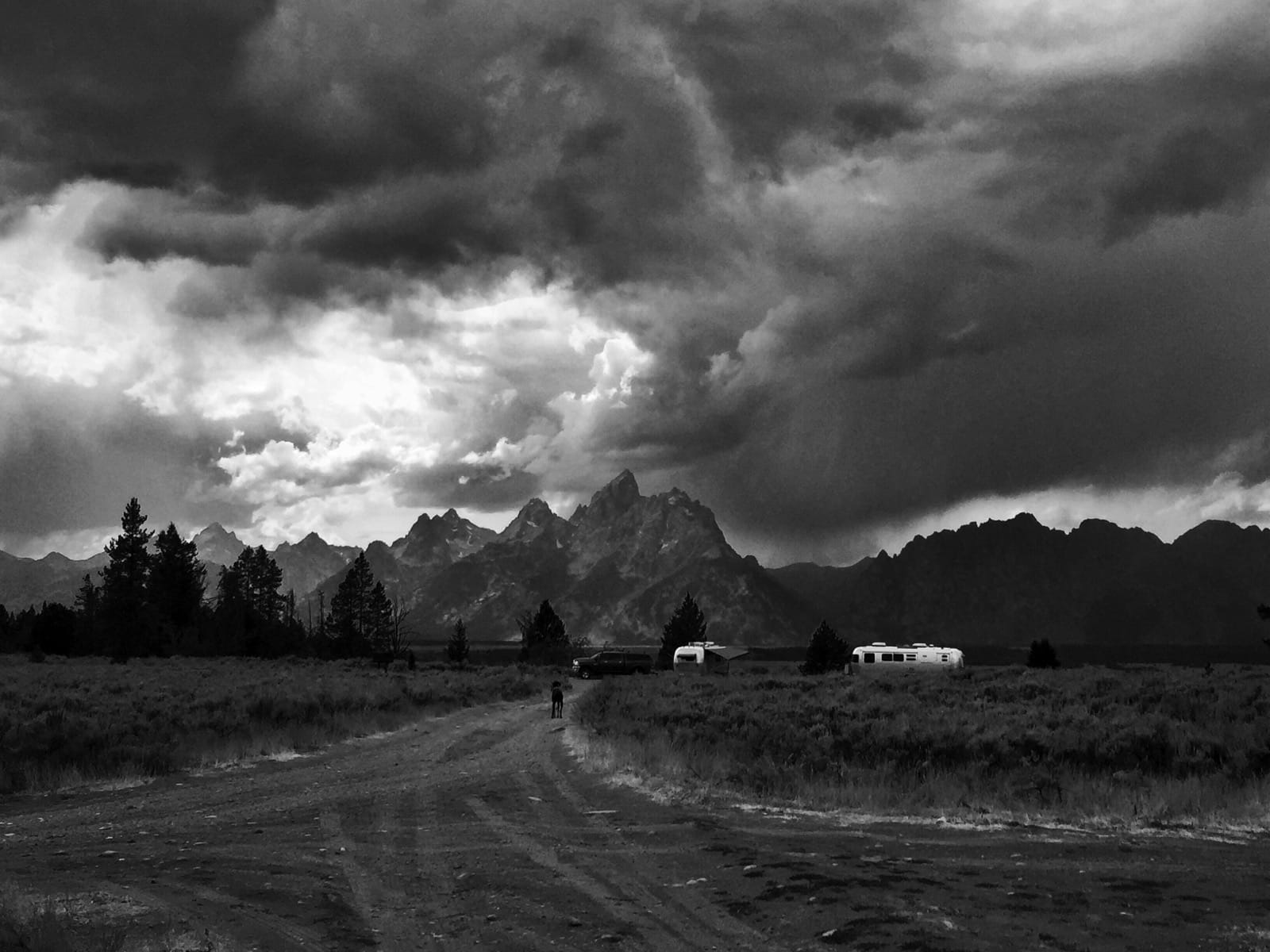 B&W photo of a great dane walking down a dirt road with the Grand Tetons in the background.