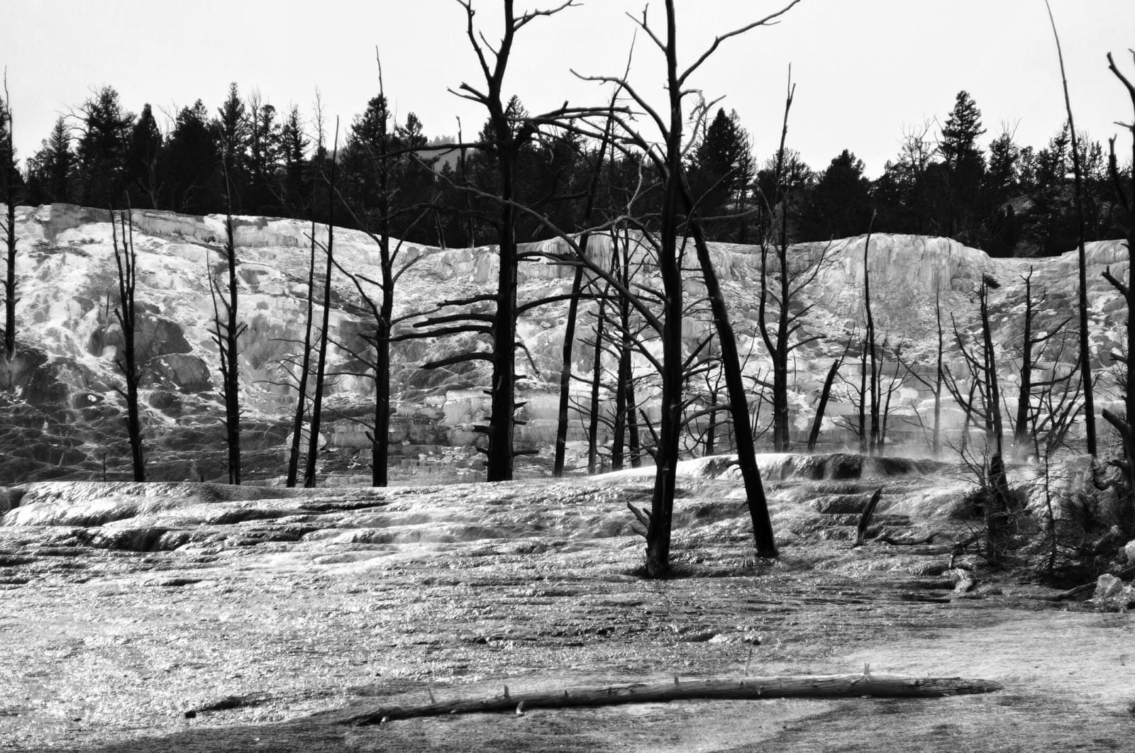 Stark yellowstone bw aluminumdreams 29348777074 o