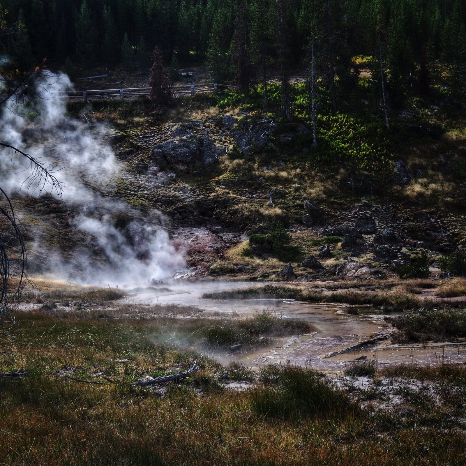 Steaming creek yellowstone aluminumdreams 29259099024 o