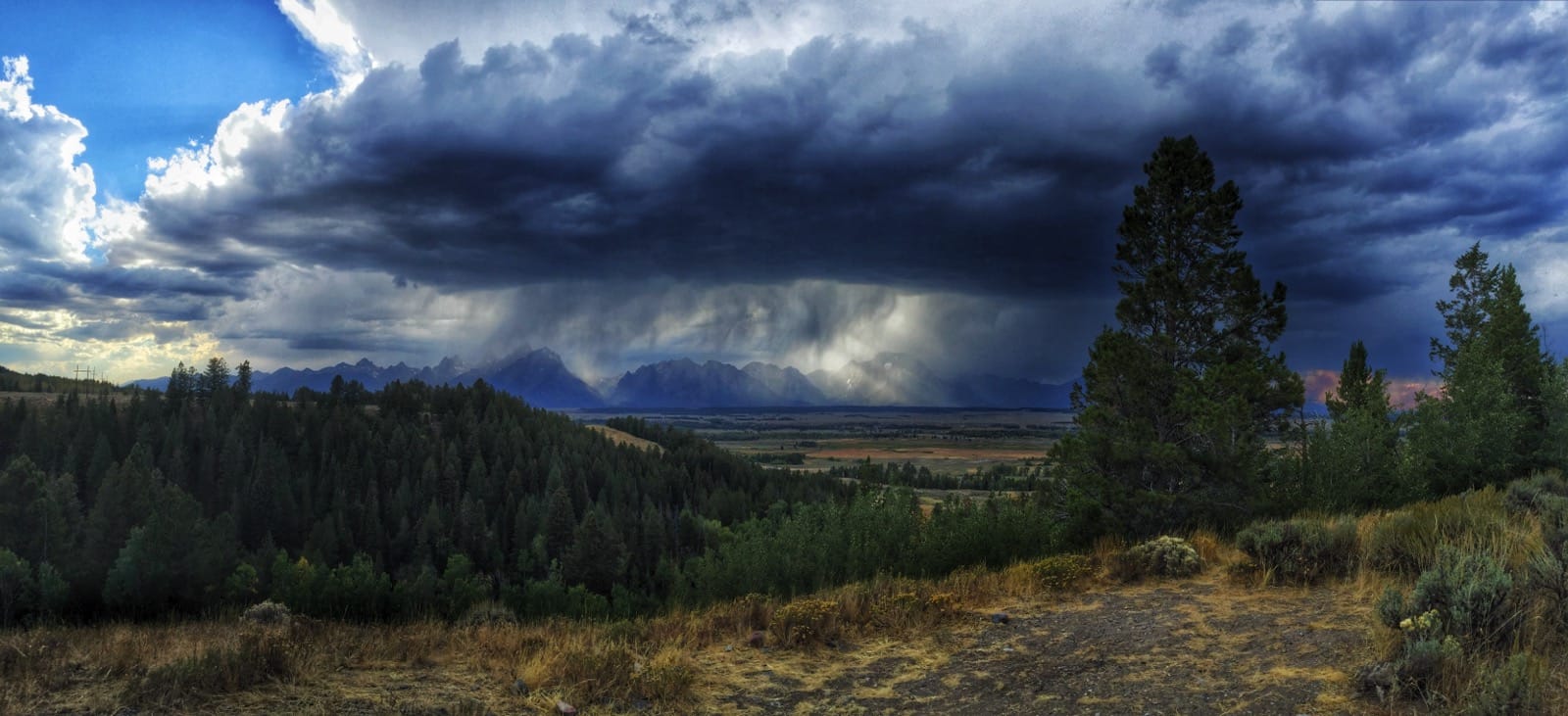 Upper Teton View