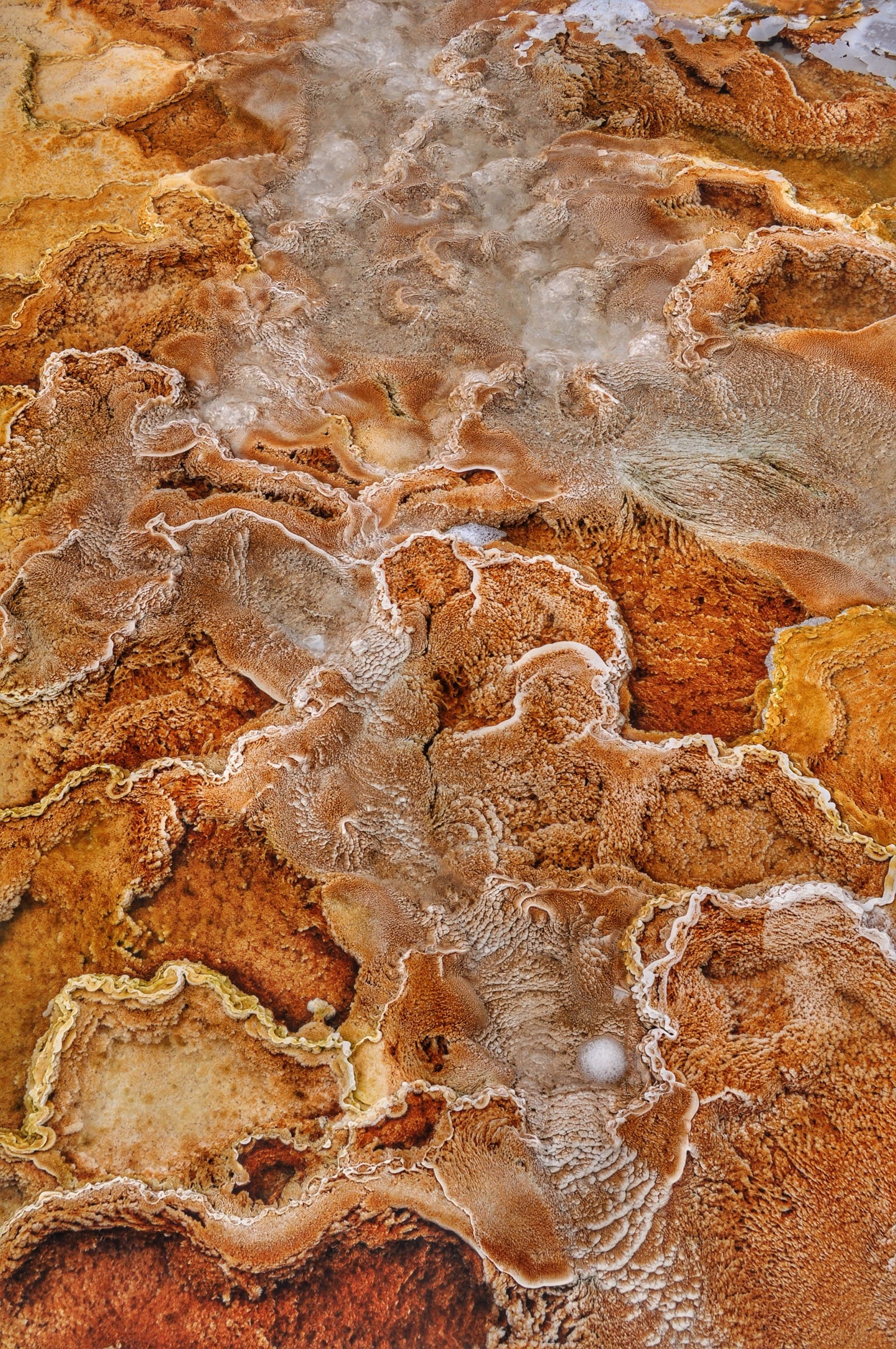 Textures no 1 yellowstone mamothhotsprings aluminumdreams 29976062975 o