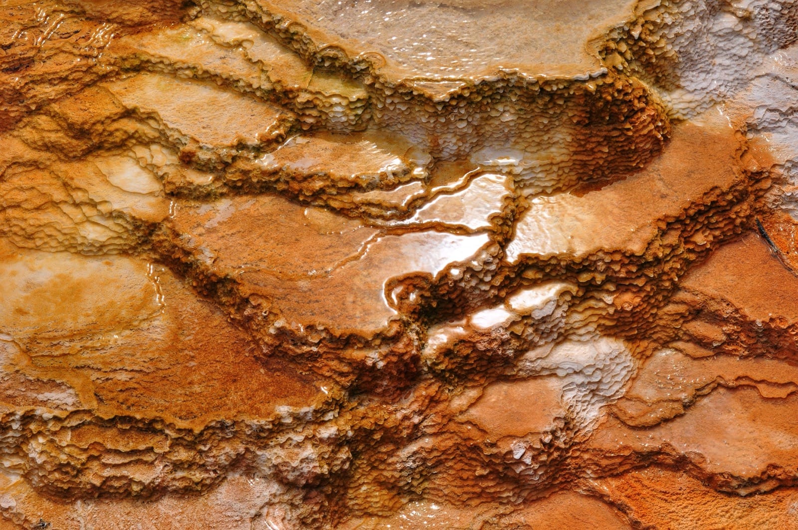 Textures no 2 yellowstone mamothhotsprings aluminumdreams 29942018486 o