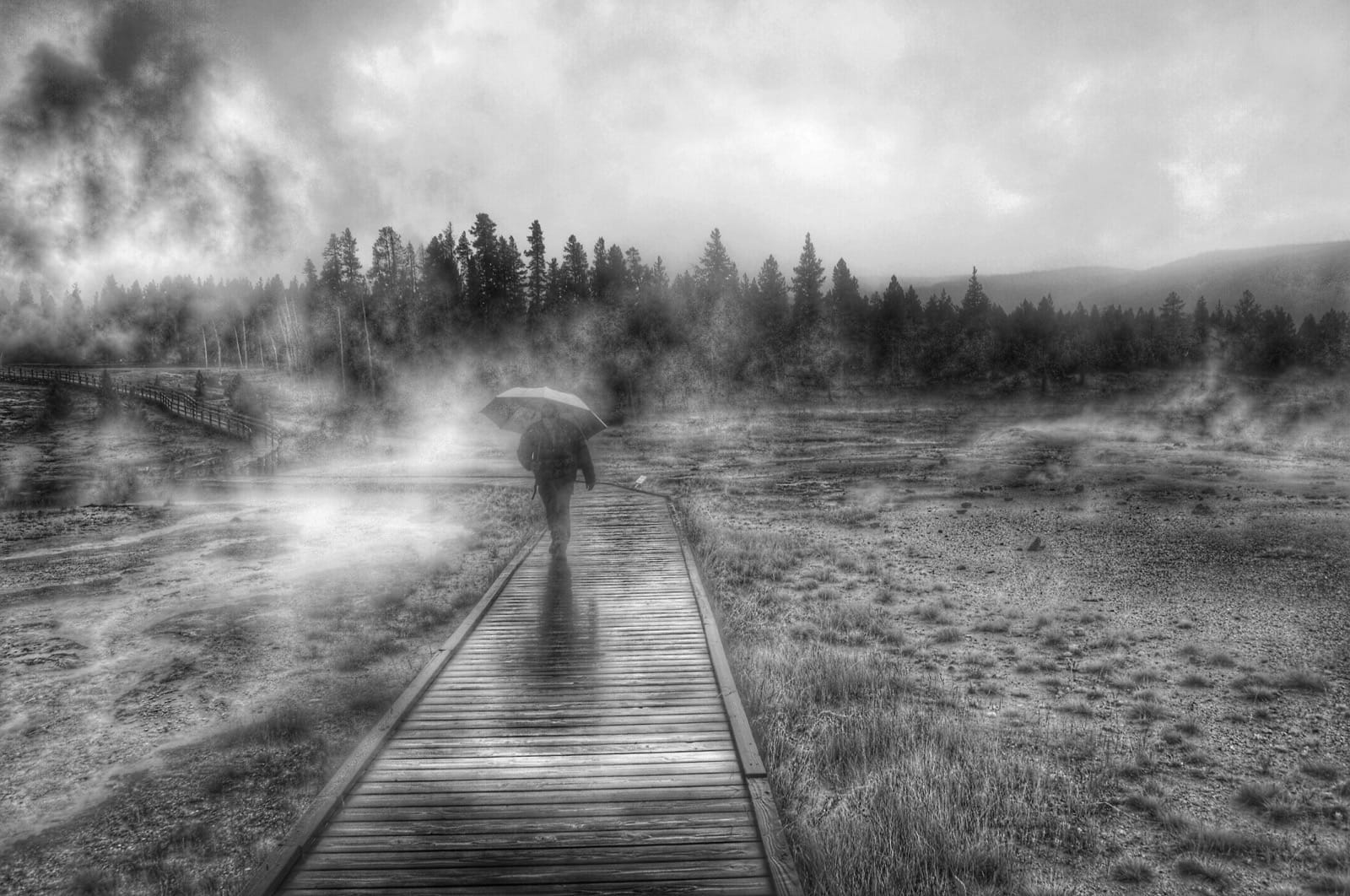 Through the mist yellowstone bw aluminumdreams 29905927011 o